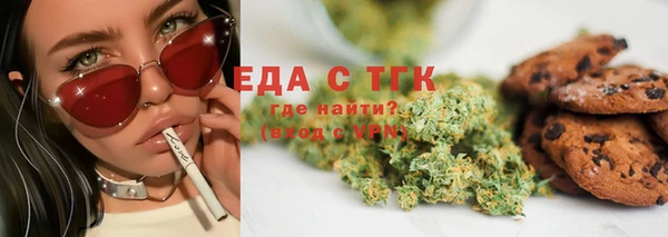 индика Медногорск