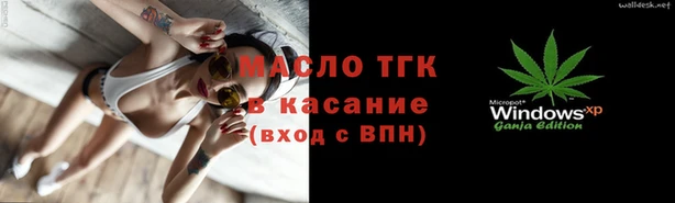 индика Медногорск