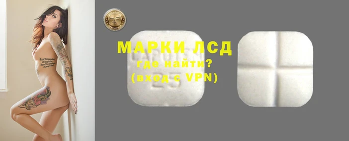 индика Медногорск