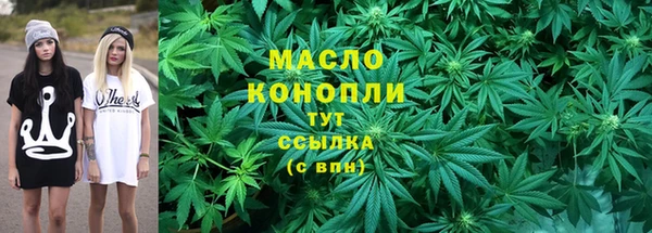 индика Медногорск