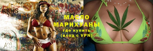 индика Медногорск