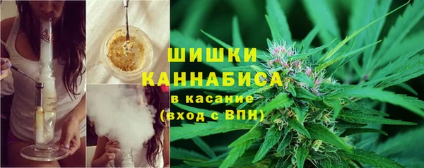 индика Медногорск